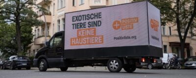 Bei der Eröffnung des WYLD Tierhandels, wird offenbart, dass es sich um eine Kampagne für eine Positivliste für Haustiere handelt.